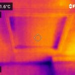 Thermal image of a trap door